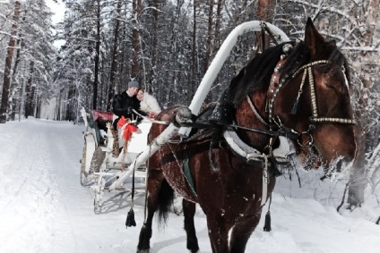 Ідеї ​​для зимової весільної фотосесії, що придумати цікавого