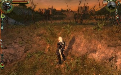 Witcher 1 joc