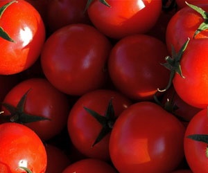 Roșiile iraniene sunt deja prezente pe piață în Rusia, toate despre tomate