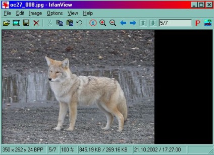 IrfanView; cel mai bun editor de imagini gratuite