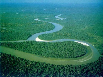 Джерела живлення річки Амазонки, її опис