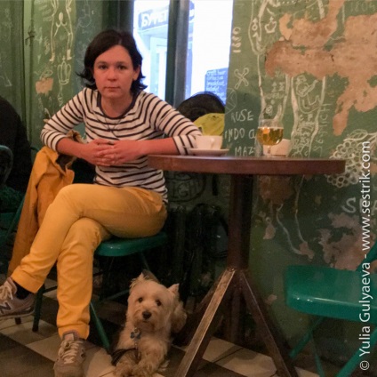 Cafe cu un câine în St. Petersburg