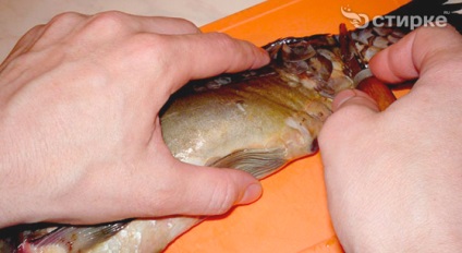 Hogyan tisztítsa meg a halat a pikkelyek a farok vagy a fej, a női online magazin
