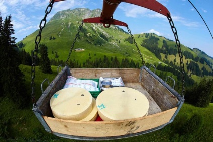 Як роблять сир в швейцарії