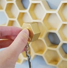 Як видобувається бджолиний пилок правила прийому і зберігання