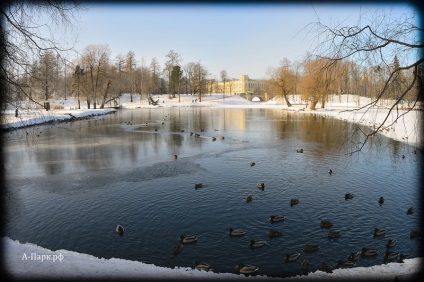 Cum sa ajungi la parcuri gatchina si gatchina din excursii la gatchina de la St. Petersburg