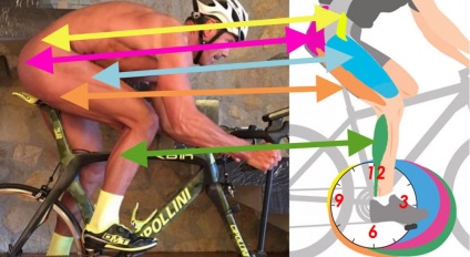 Ce mușchi funcționează pentru un ciclist, time2cycle
