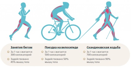 Які м'язи працюють у велосипедиста, time2cycle