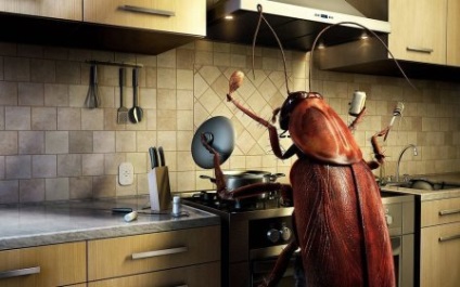 Как да се отървете от хлебарки в апартамент