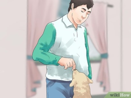Як купувати цуценя лабрадора ретривера