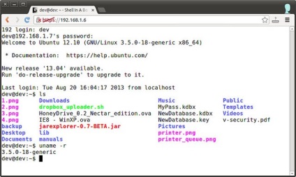 Cum să accesați terminalul ssh într-un browser web pe linux, sfaturi pentru toate ocaziile
