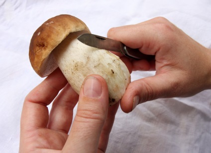 Як правильно сушити гриби