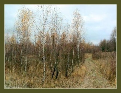 Як розвести багаття в дощитиме - слякостную погоду особистий досвід