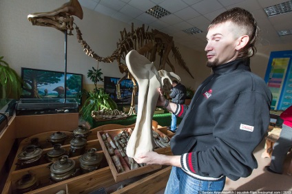 Як реставрують динозаврів, фото новини