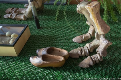 Як реставрують динозаврів, фото новини