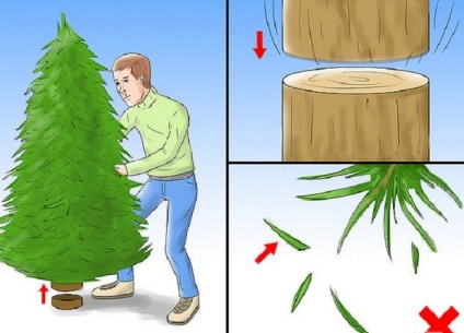 Cum să faci copacul să dureze mai mult