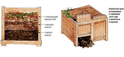 Cum se face o cutie de compost în țară - cursuri online