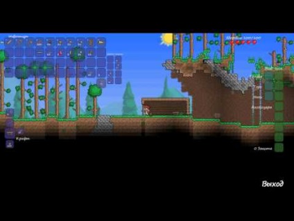 Hogyan készítsünk egy terrárium a rúd (terrárium) Hogyan készítsünk egy terrárium a rúd