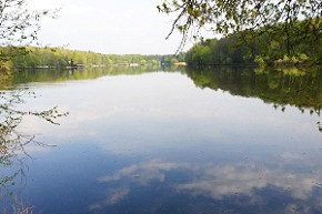 Як зняти на літо заміський будинок на Рубльовці