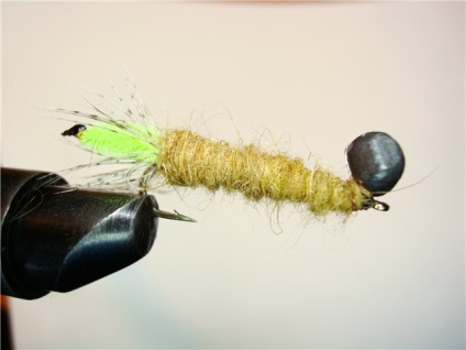 Cum să păstreze muștele caddis pentru pescuit, larve caddisfly - momeală pe tot parcursul sezonului