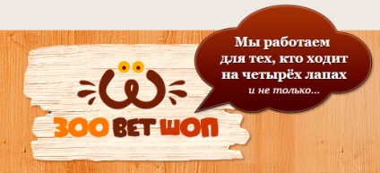 Як спати спокійно, маючи в будинку нявкати істота - навколо кішки