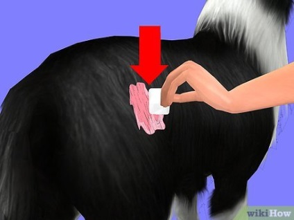 Як видалити жувальну гумку з вовни собаки