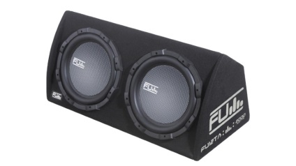 Cum de a alege un subwoofer auto 6 caracteristici, o prezentare generală a primelor 10 modele cu prețuri și recenzii