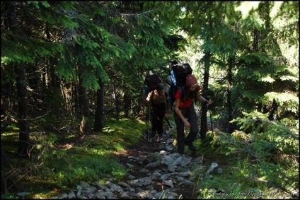 Cum să ieșiți din situații extreme într-o excursie pe jos, în sport