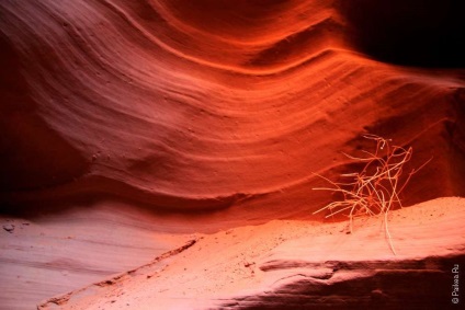 Canyon antelope în statul Arizona SUA - tot ce trebuie să știți despre caniunile superioare și inferioare ale antilopelor (