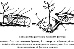 Капково напояване със собствените си ръце