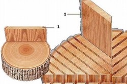 Elemente din lemn stratificat si avantaje