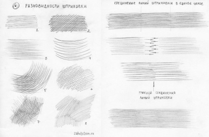 Kap - o radieră impresionantă chiar și pentru profesioniști