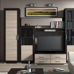 Mobilier contemporan pentru living