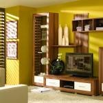 Mobilier contemporan pentru living