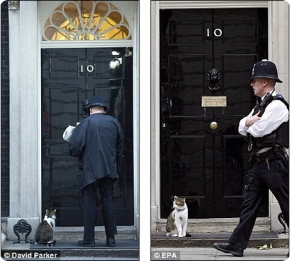 Kota Larry a fost concediat de la Downing Street