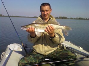 Хто такий - моджахед - і як ми його ловили на соску, рибалка на задвірках