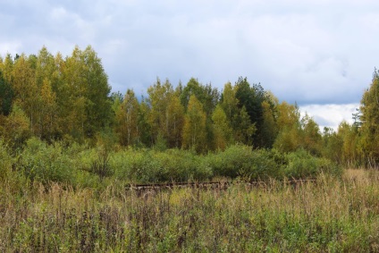 Кубрінск кладовищі торфомашін маршрути, координати, опис, як дістатися на автомобілі і пішки