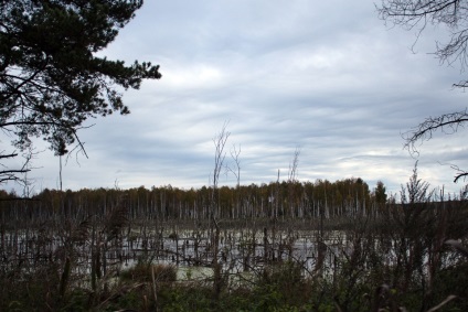 Кубрінск кладовищі торфомашін маршрути, координати, опис, як дістатися на автомобілі і пішки