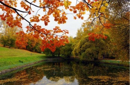 Kuskovo (parc) cum să ajungi acolo, fotografie, ore de lucru și comentarii