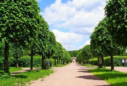 Kuskovo (parc) cum să ajungi acolo, fotografie, ore de lucru și comentarii