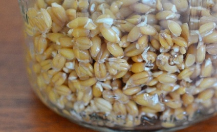 Квас з пшениці рецепти пшеничного квасу
