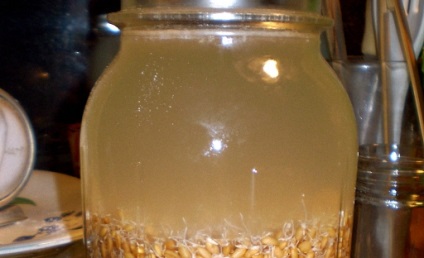 Kvas din rețete de grâu de grâu de grâu