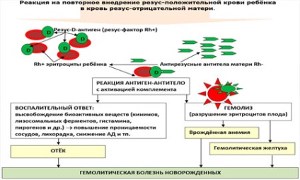 Лікування дітей з ДЦП, лікування дитини - дитячі хвороби, консультації, досвід