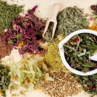 Tratamentul remediilor folclorice pentru enteritis - remedii pe bază de plante