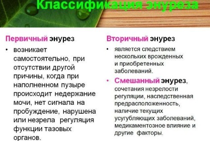 Лікування енурезу народними засобами в домашніх умовах