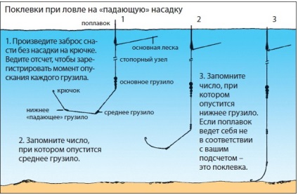 Ловля зі змінним поплавком