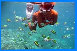 Cele mai bune plaje pentru snorkeling din Phuket - Phuket