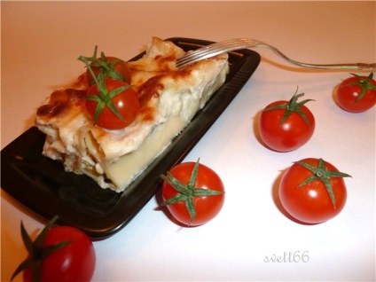 Manicotti (cannelloni) cu pui, ardei grași și trei feluri de brânză rețetă pas cu pas cu