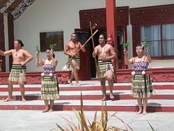 Maori este