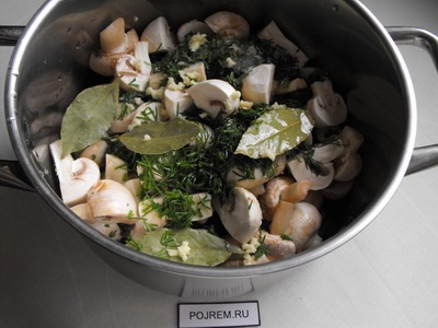 Marinarea ciuperci - rețetă pas cu pas cu fotografie cum să gătești